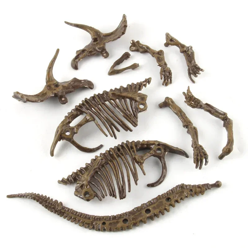 Dinosaur Excavation Fossil Arc - огляд і ціна Model Kit Dinosaur