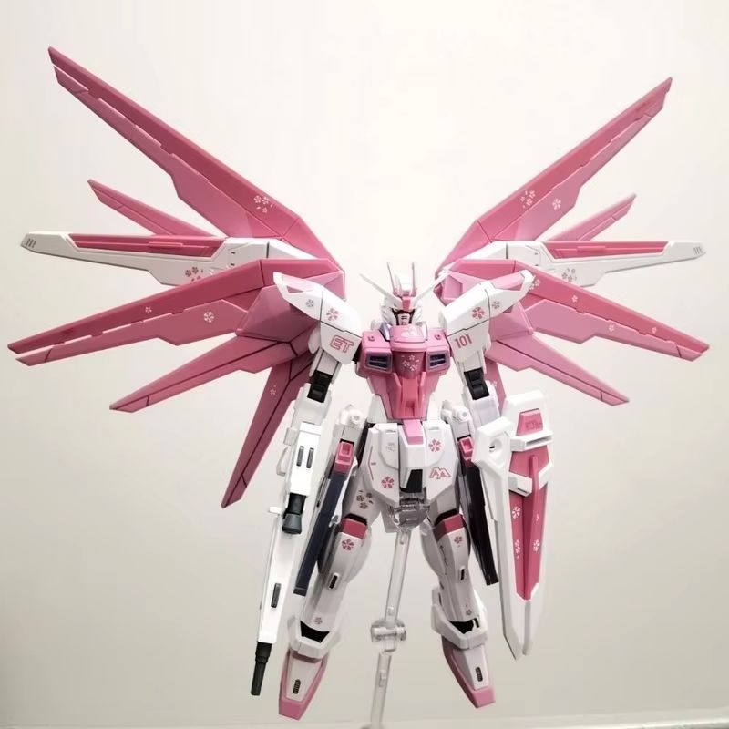 JMS HG 1/144 ZY-06 Freedom Ass - огляд і ціна Model Kit Gundam Mg