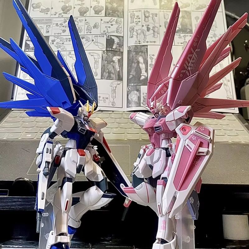 JMS HG 1/144 ZY-06 Freedom Ass - огляд і ціна Model Kit Gundam Mg